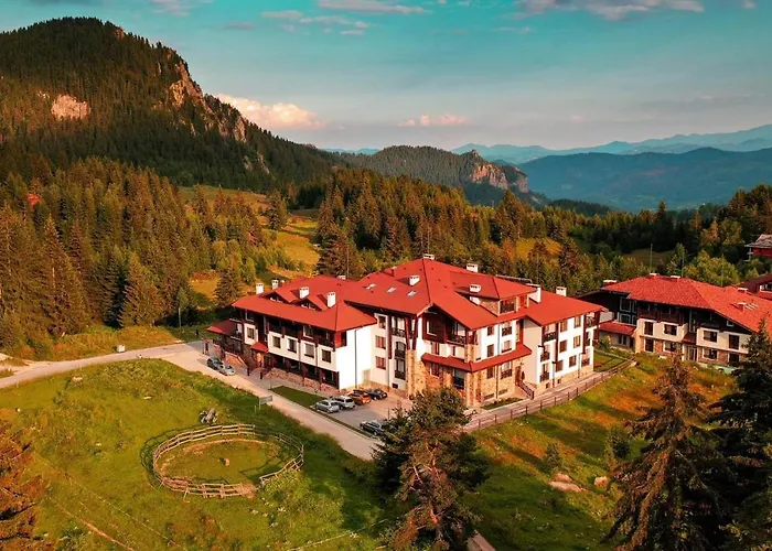 4 Seasons 535, Oak *